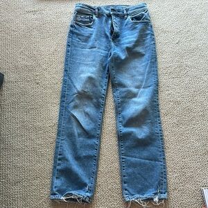 DL1961 Patti straight ankle-size 27